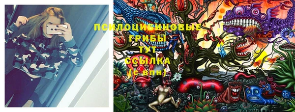 круглые Надым