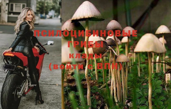 a pvp Михайловск