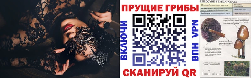 Галлюциногенные грибы Psilocybine cubensis Ковдор